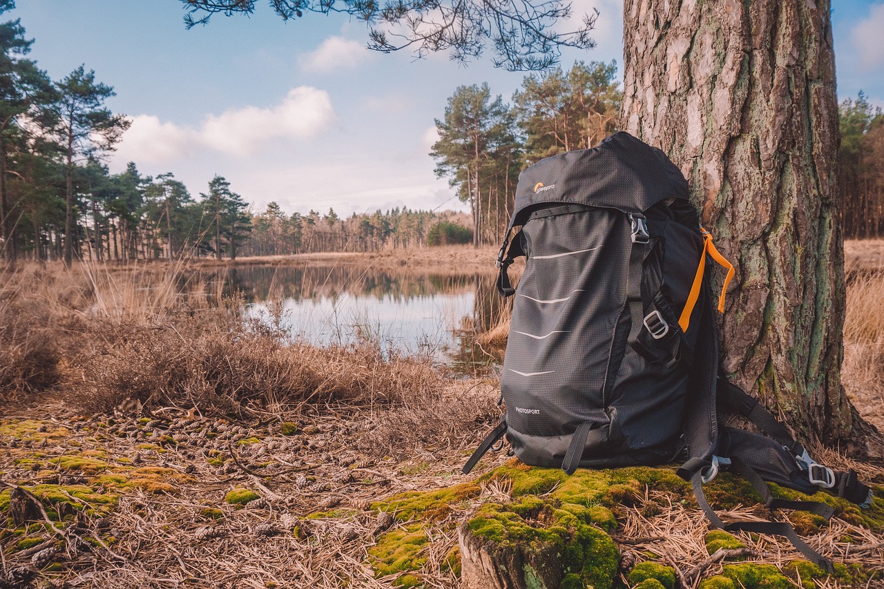 ZOMAKE Ultra Lightweight Packable Backpack – The Perfect Travel Companion Whether you're exploring a new city, hiking through nature, or just need an extra bag for your travels, the ZOMAKE Ultra Lightweight Packable Backpack is a must-have. Designed for convenience, this backpack is super lightweight, durable, and folds into a compact pouch, making it the perfect travel companion for any adventure.