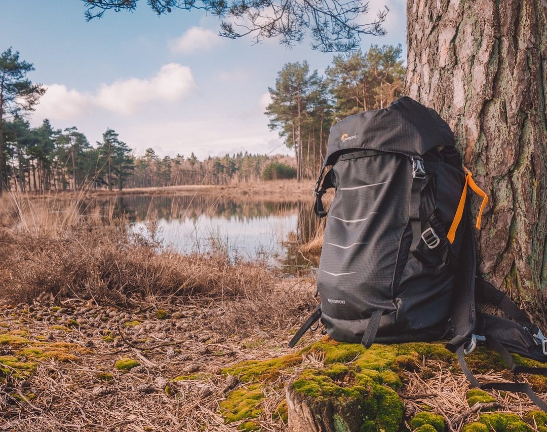 nature, tree, outdoors, fall, wood, bag, backpack, landscape, scenic, bag, backpack, backpack, backpack, backpack, backpack